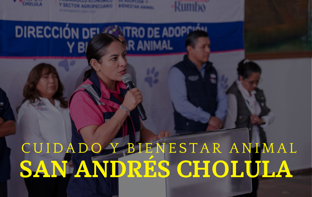 Presidenta municipal de San Andrés Cholula, Puebla promueve una cultura de respeto y bienestar animal LUPITA CUAUTLE