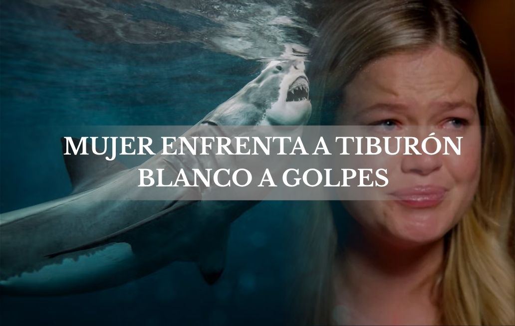 Mujer sobrevive al ataque de un tiburón blanco tras golpearlo para escapar Tiburon