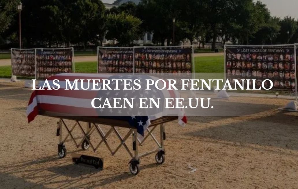 ¿Qué hay detrás de la drástica caída de muertes por fentanilo en EE.UU.? Fentanilo