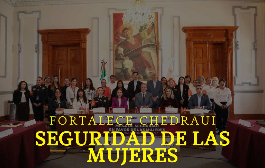 SEGURIDAD DE LAS MUJERES