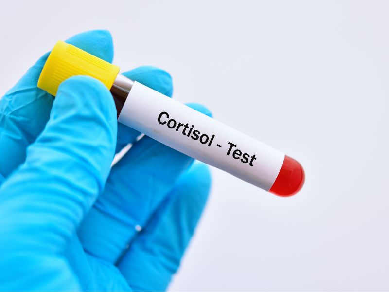 el cortisol y por que es importante