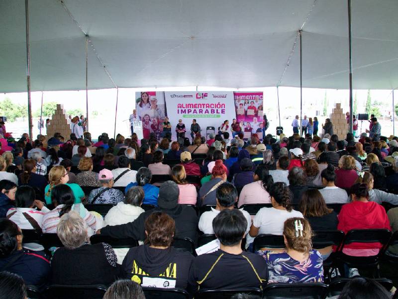 en representacion del presidente