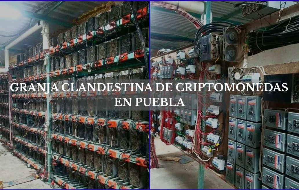 criptomonedas