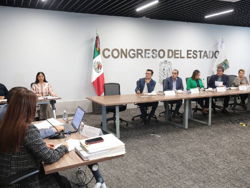 la diputada laura guadalupe vargas