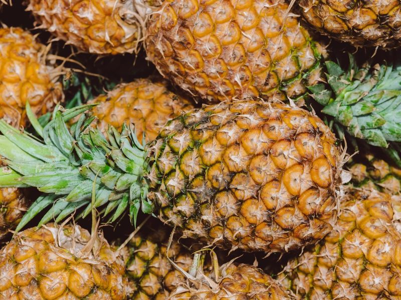 la piña su origen y caracteristicas
