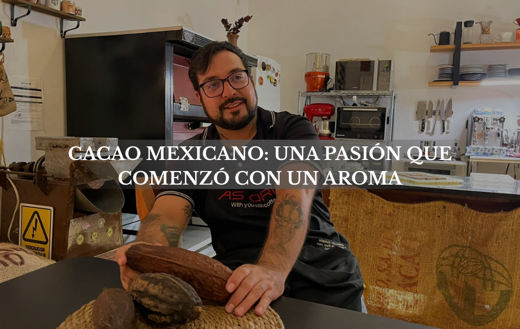 CACAO MEXICANO