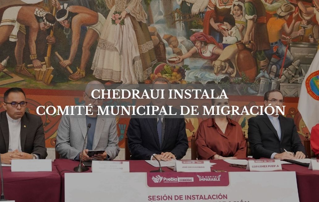 Raíces que te abrazan