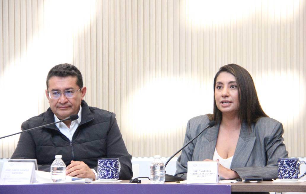  Destaca diputada Angélica Alvarado resultados de su Segundo