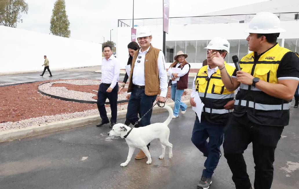 Gobierno de Puebla alcanza 88% de avance en Célula de Bienestar Animal y Protección de Seres Sintientes Gobierno de Puebla alcanza 88% de avance en Célula