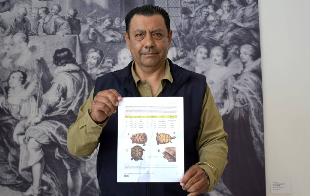 Investigadores BUAP registran nuevos ejemplares de tortuga
