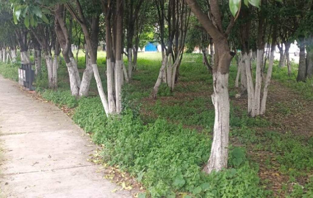 Los despojos en la colonia Gobernadores continúan