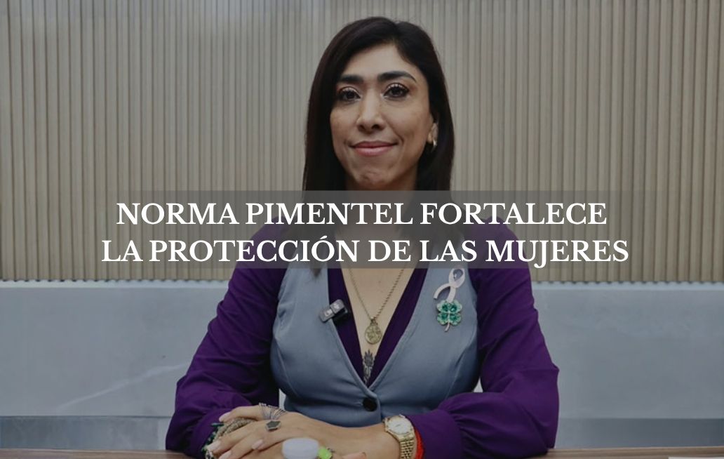 Destaca diputada Norma Pimentel acciones legislativas para fortalecer la protección de los derechos de las mujeres Norma Pimentel