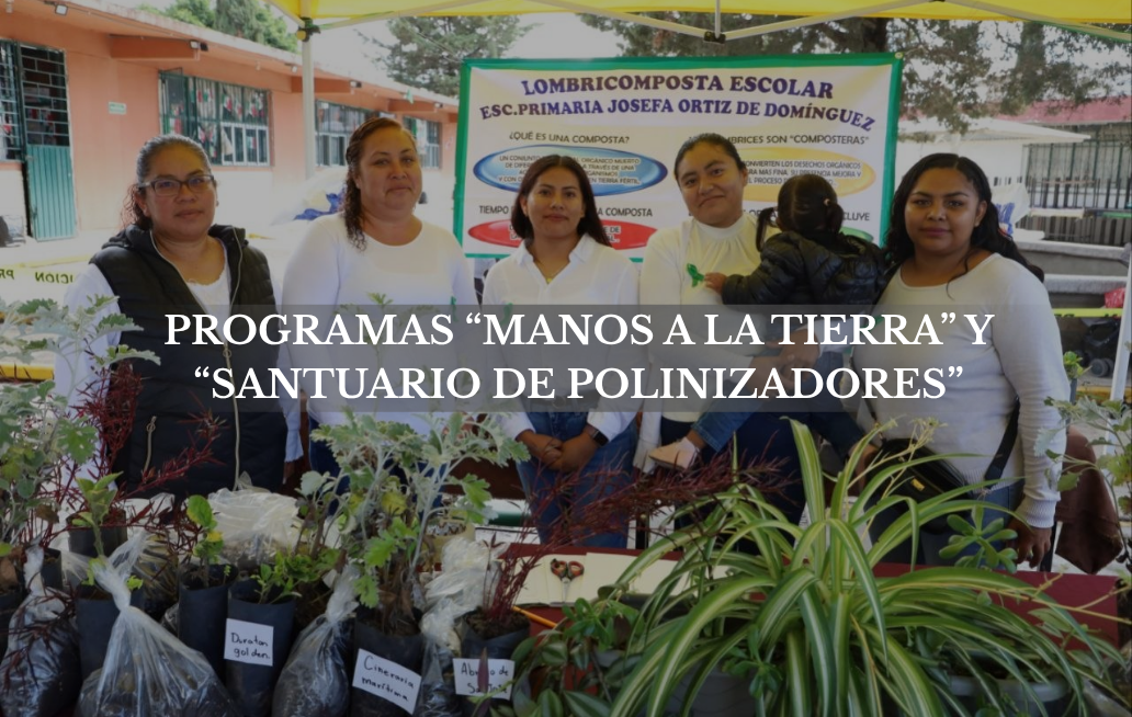 Gobierno de la Ciudad de Puebla impulsa educación ambiental con 120 huertos escolares y nuevos santuarios de polinizadores GOBIERNO DE LA CIUDAD