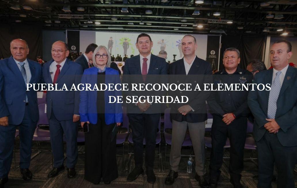 Seguridad y Sedena