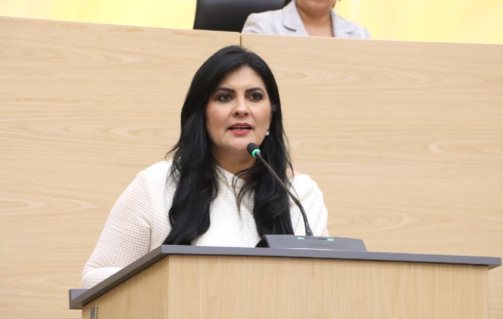 Diputada Delfina Pozos propone reforzar la supervisión de deshuesaderos y yonkes en Puebla diputada delfina pozos