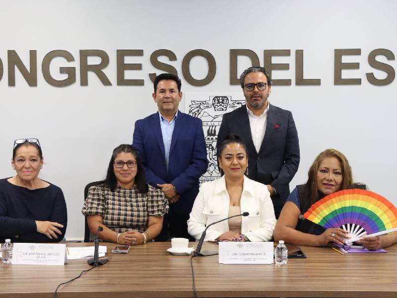 la diputada expuso que la comision